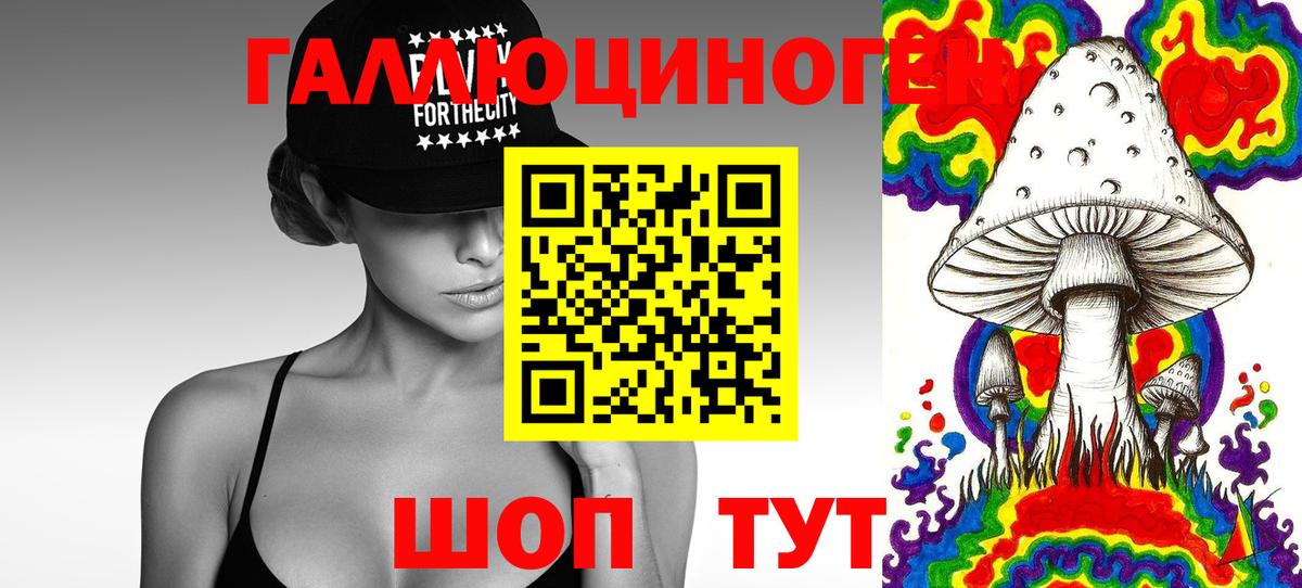 Псилоцибиновые грибы MAGIC MUSHROOMS Советская Гавань